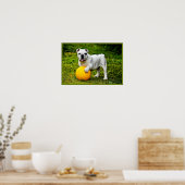 English Bulldog w/Ball Poster (Küche)