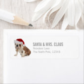 English Bulldog Wear Weihnachtsmannmütze (Insitu)