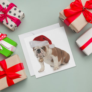 English Bulldog Wear Weihnachtsmannmütze Feiertagskarte