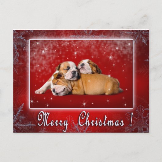 English Bulldog Weihnachtskarte Feiertagspostkarte (Vorderseite)