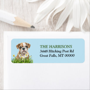 English Bulldog Welppy Daffodil Garden