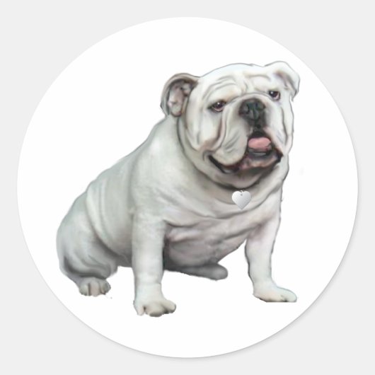 English Bulldog - White 1 Runder Aufkleber (Vorderseite)