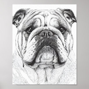English Bulldog Wild Nature Animal Illustration Poster