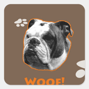 English Bulldog Woof Quadratischer Aufkleber