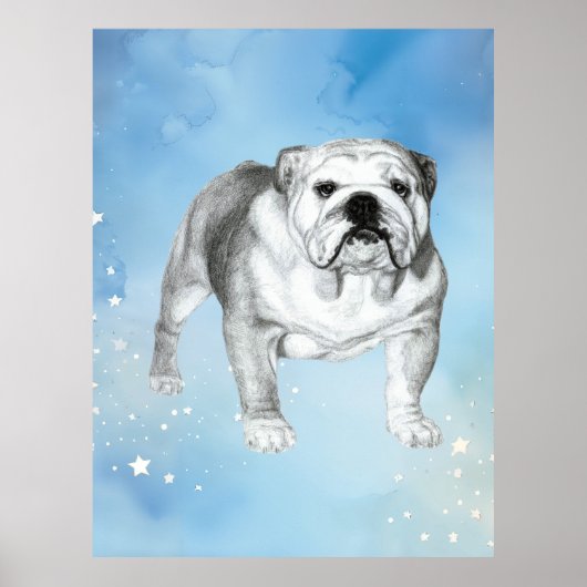 English Bulldog zeichnend Poster (Vorne)
