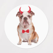 English Bulldog zu Halloween Etiketten (Design 2)