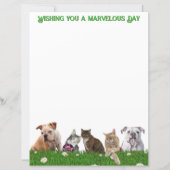 English Bulldogs and Cats Stationery (Vorderseite)