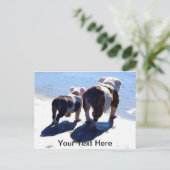 English Bulldogs Postkarte (Stehend Vorderseite)
