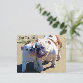 English Bulldogs You Belong With Me Postkarte (Stehend Vorderseite)