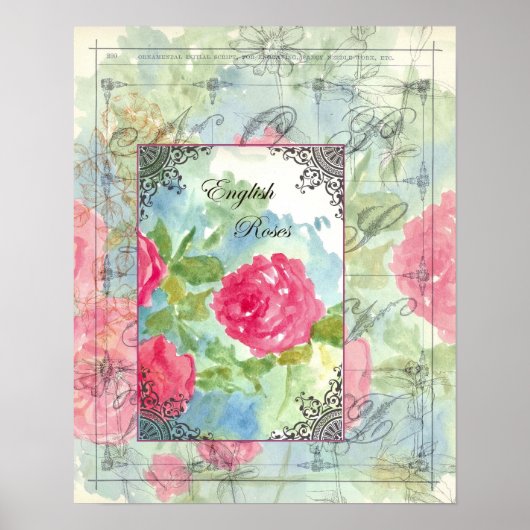 English Cabbage Rose Collage Watercolor Blume Poster (Vorne)