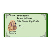 English Cocker Spanel (Vorne)