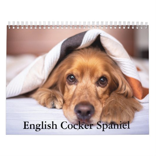English Cocker Spanel Dog Calendar Kalender (Titelbild)