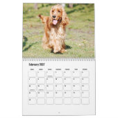 English Cocker Spanel Dog Calendar Kalender (Feb 2027)