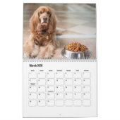 English Cocker Spanel Dog Calendar Kalender (Mär 2026)