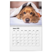 English Cocker Spanel Dog Calendar Kalender (Jan 2026)