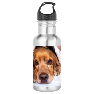 English Cocker Spanel Dog Edelstahlflasche