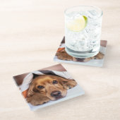 English Cocker Spanel Dog Glasuntersetzer (Schrägansicht)