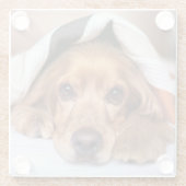 English Cocker Spanel Dog Glasuntersetzer (Rückseite)