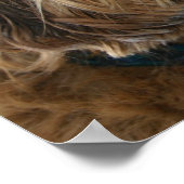 English Cocker Spanel Dog Poster (Ecke)