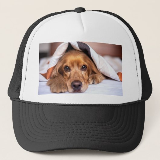 English Cocker Spanel Dog Truckerkappe (Vorderseite)