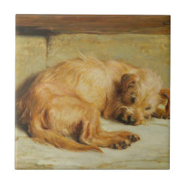 English Cocker Spanel Dog (von Briton Rivière) Fliese