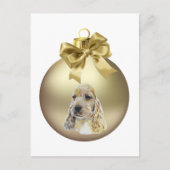 English Cocker Spanel Postkarte (Vorderseite)