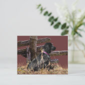English Cocker Spanel Postkarte (Stehend Vorderseite)