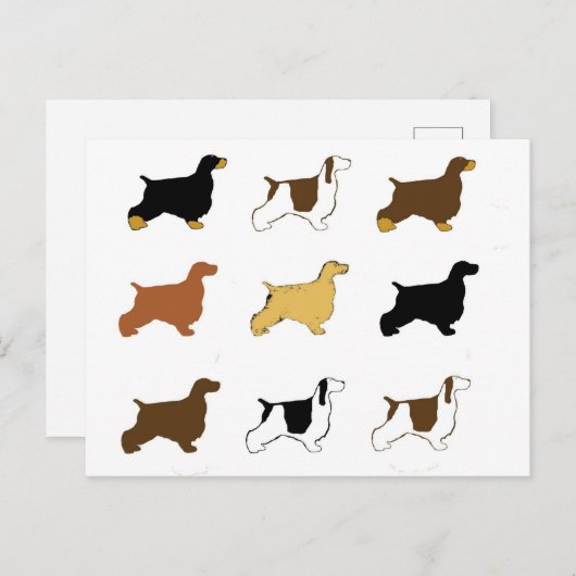 English Cocker Spanisch alle Farbsilos Postkarte (Vorne/Hinten)