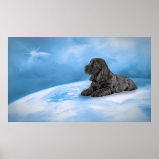 English Cocker Spanisch Welpe Poster (Vorne)