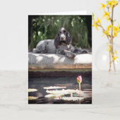 English Cocker Spanische Card Karte (Gelbe Blume)