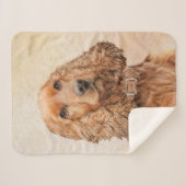 English Cocker Spanische Malerei - Original Dog Ar Sherpadecke (Vorderseite (Horizontal))