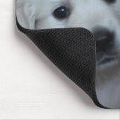 English Cream Goldens Mousepad (Ecke)