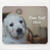 English Cream Goldens Mousepad (Vorne)