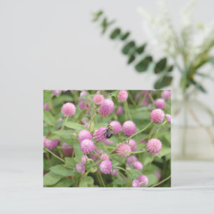 English Daisy Blume Postkarte