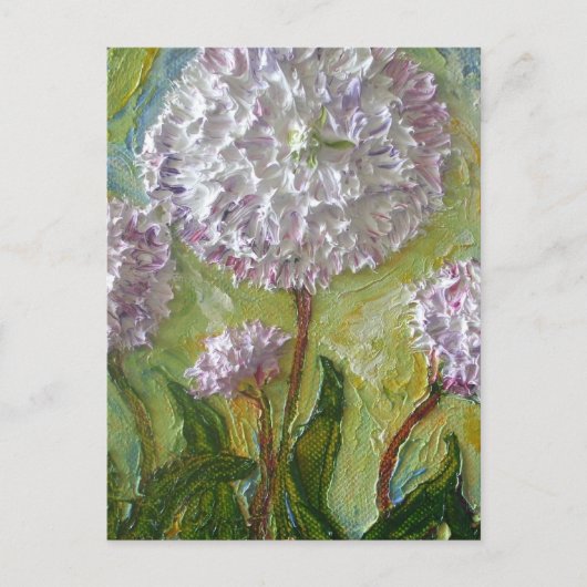 English Daisy Postkarte (Vorderseite)