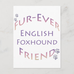 English Foxhound Furever; English Foxhound Liebe Postkarte