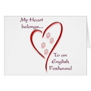 English Foxhound Heart Belongs