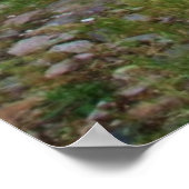 English Garden Hollyhocks und Blume Poster (Ecke)