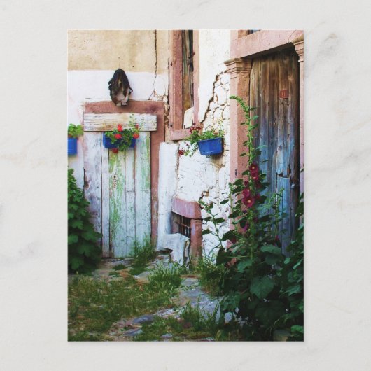 English Garden Hollyhocks und Blume Postkarte (Vorderseite)