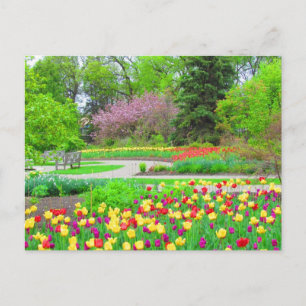 English Garden Tulip Time Postcard Postkarte