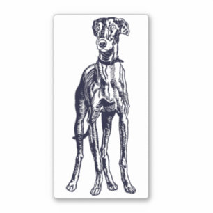 English Greyhound Breed Aufkleber