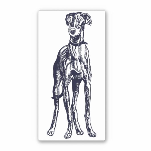 English Greyhound Breed Aufkleber (Vorderseite)