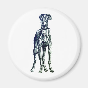 English Greyhound Breed Magnet