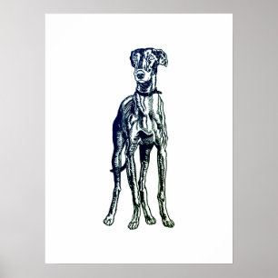 English Greyhound Breed Poster