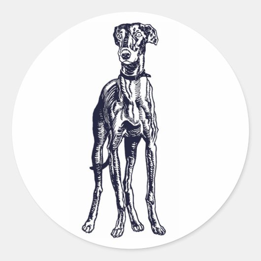 English Greyhound Breed Runder Aufkleber (Vorderseite)