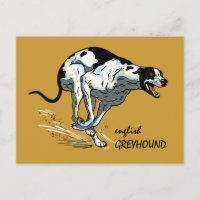 English Greyhound