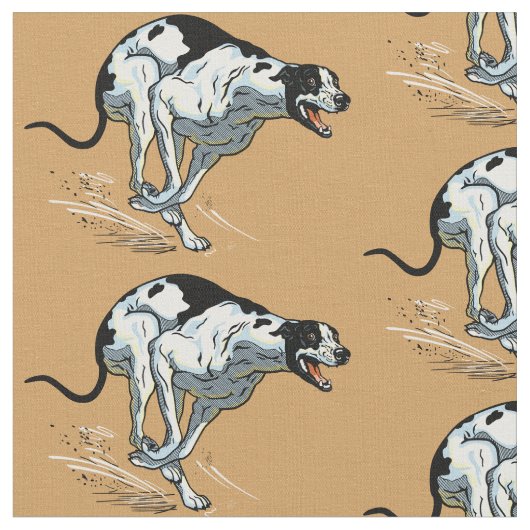 English Greyhound Race Dog Stoff (Nahaufnahme)