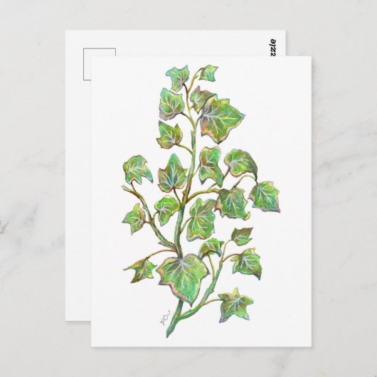 English Ivy Postkarte (Vorne/Hinten)