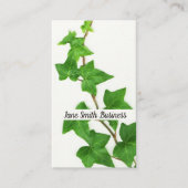 English Ivy White Background Green Vine Visitenkarte (Vorderseite)