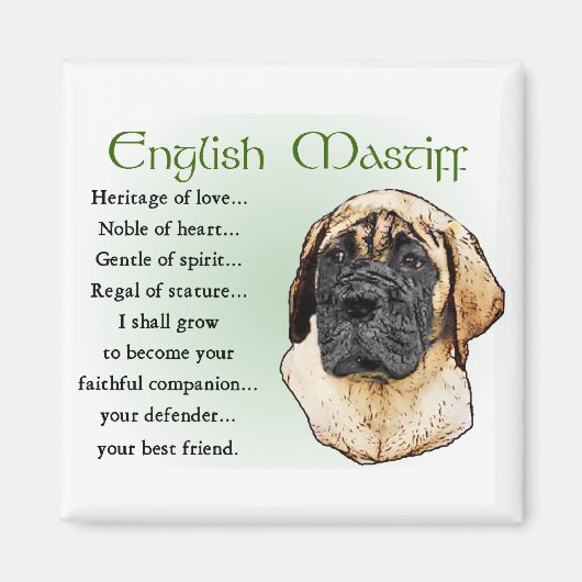 English Mastiff Art Geschenke Magnet (Vorne)